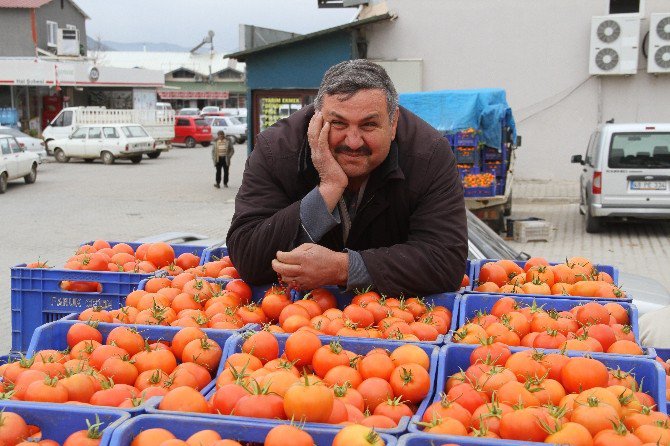 Domates Üreticileri Zor Günler Geçiyor