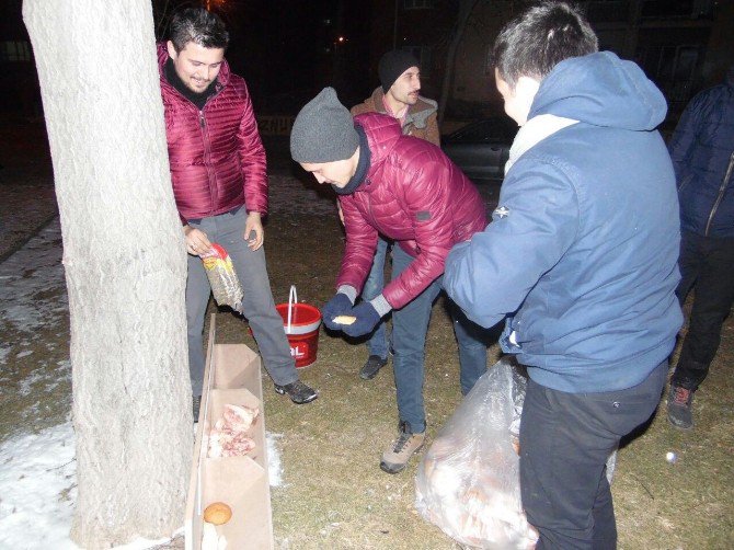 Ak Parti’nin “Sessiz Dostlarımız İçin Lokanta Projesi” İlgi Görüyor