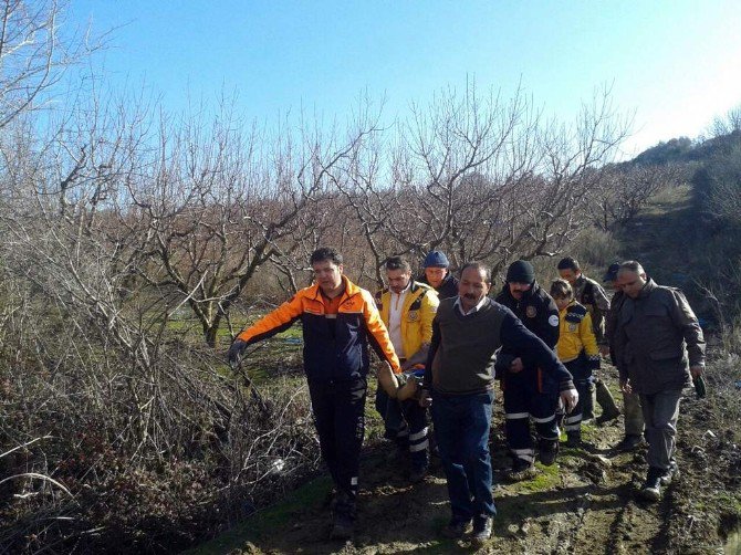 Mahsur Kalan Vatandaşı Afad Kurtardı