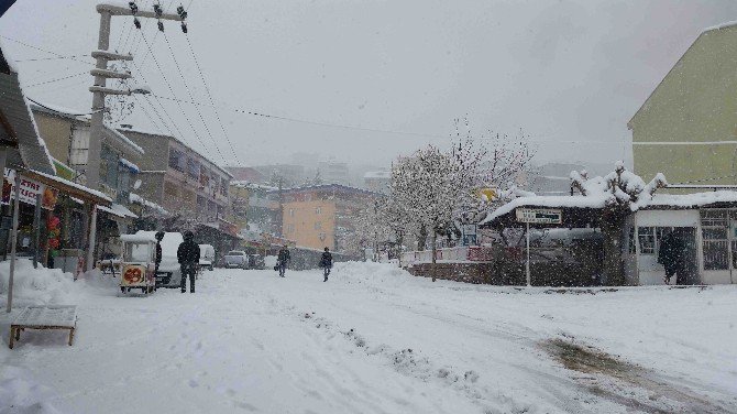 Kulp’ta Kar Yağışı Hayatı Durma Noktasına Getirdi