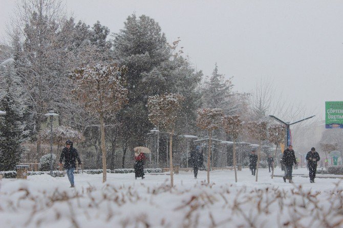 Elazığ’da Kar Yağışı Etkisini Göstermeye Başladı