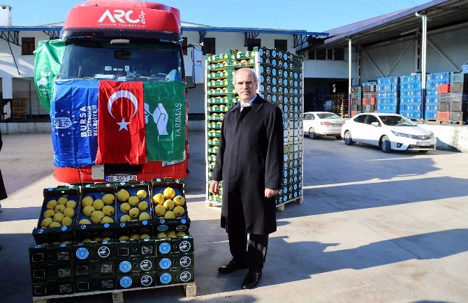 Hollandalılar Bursa Ayvası’nı Yiyecek