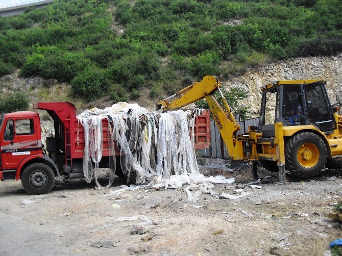 İzmit’te Otoyol Viyadükleri Temizleniyor