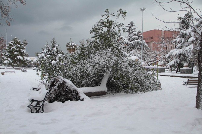 Samsun’da Beyaz Afet