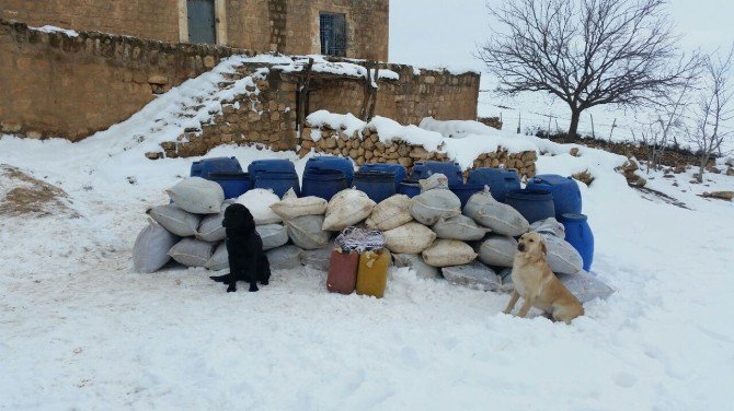 Mardin’de Yola Döşenmiş Halde 500 Kg El Yapımı Patlayıcı İmha Edildi