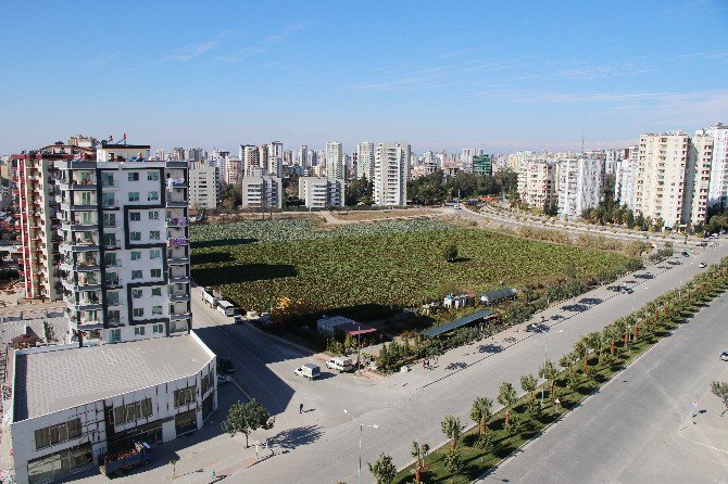 Adana’da 200 Bin Hektar Tarımsal Alan Tehdit Altında