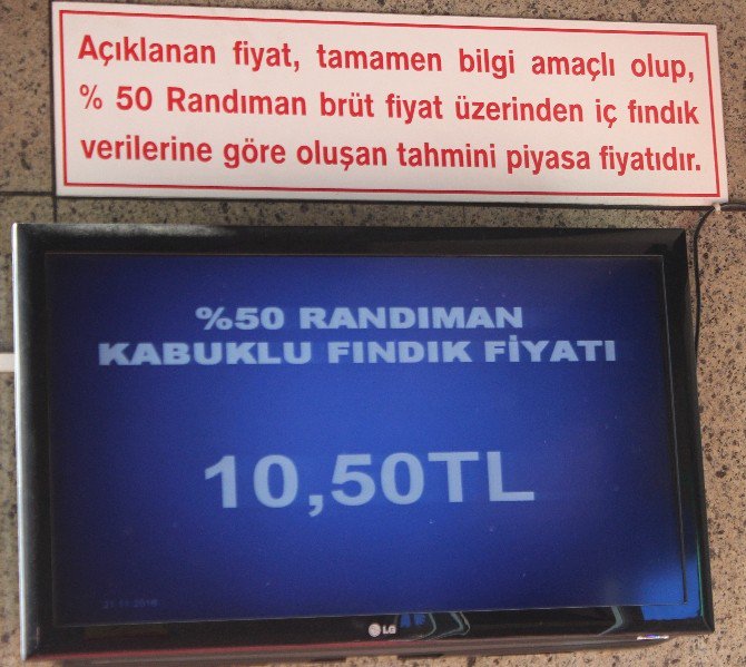 Fındık Düşüşe Geçti