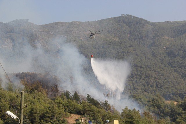 Adana’da Geçen Yıl Çıkan Yangınlarda 146 Hektar Orman Zarar Gördü