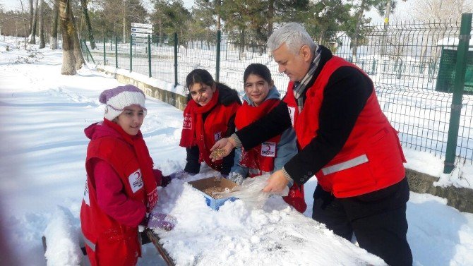 Alaçam Kızılayı Sokak Hayvanlarını Unutmadı