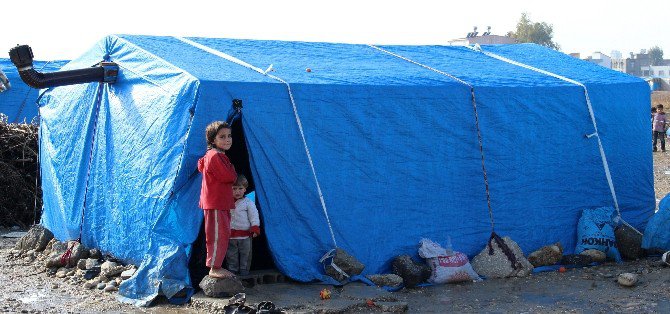 Savaşta Ağabeylerini Kaybetti, 5 Çocuğuyla Adana’ya Sığındı