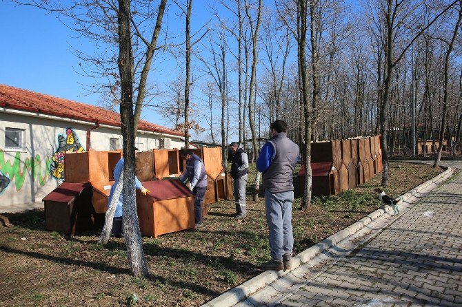 Başkan’dan “Bir Pati De Sen Tut” Projesine Plaket