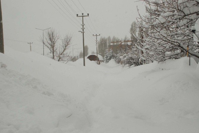 Bitlis’te 257 Köy Yolu Ulaşıma Kapandı