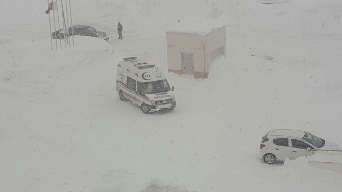 Bitlis’te Hayat Durdu