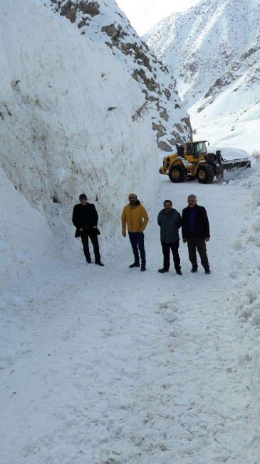 Ölümüne Yol Açma Çalışması