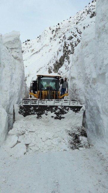 Ölümüne Yol Açma Çalışması