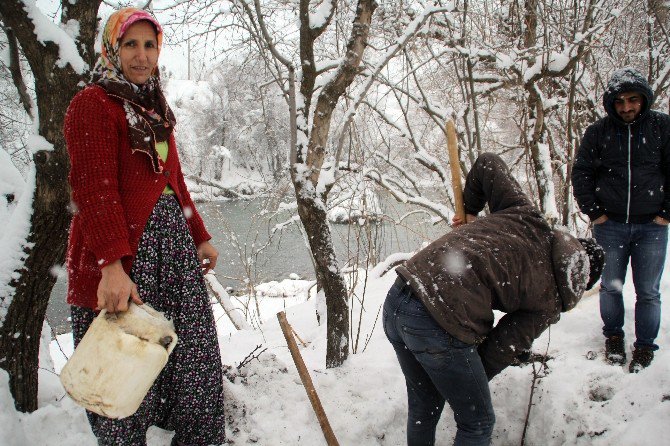 Kışlık Tatlar Kar Altından Çıkarıldı