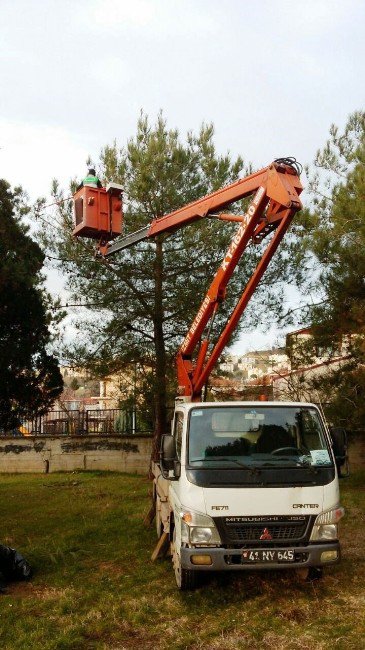 İzmit’te Yeşil Alanlar Budanıyor