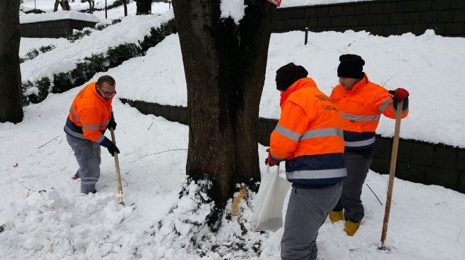 Trabzon’da Hayvanlar İçin Yemleme İstasyonları Oluşturuldu