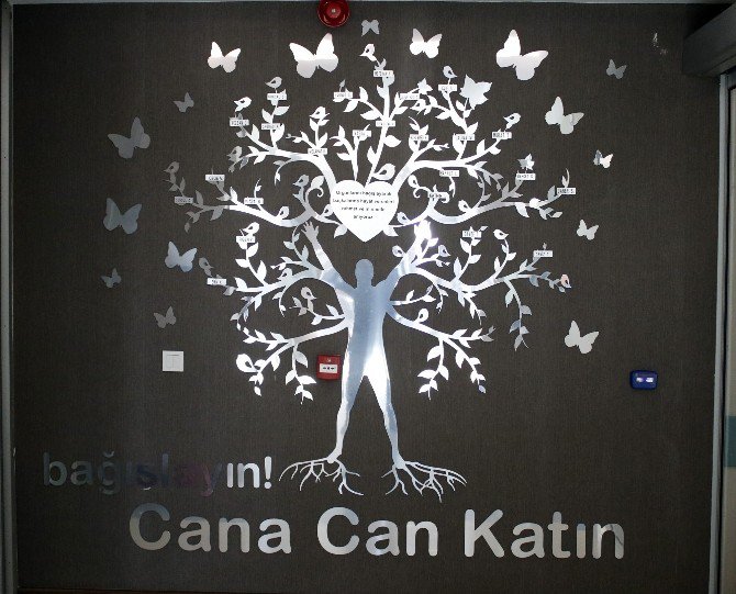 Organ Naklinin "Yaşam Ağacı"