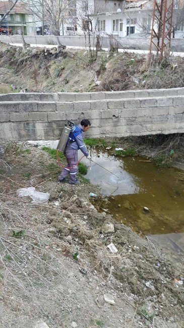 Korkuteli İlçesi’nde Sinekle Mücadele Çalışması Başladı
