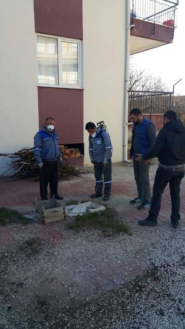 Korkuteli İlçesi’nde Sinekle Mücadele Çalışması Başladı