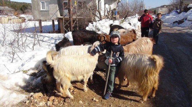 Kar Yağışı Bitti, Esareti Kaldı