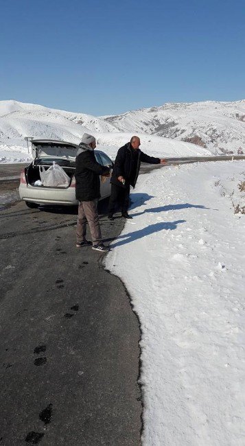 Özvatan Belediye Başkanı, Yaban Hayvanları İçin Doğaya Yiyecek Bıraktı