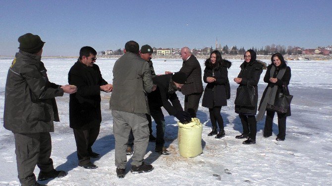 ’Dünya Sulak Alanlar Günü’ Buz Tutan Beyşehir Gölü’nde Kutlandı