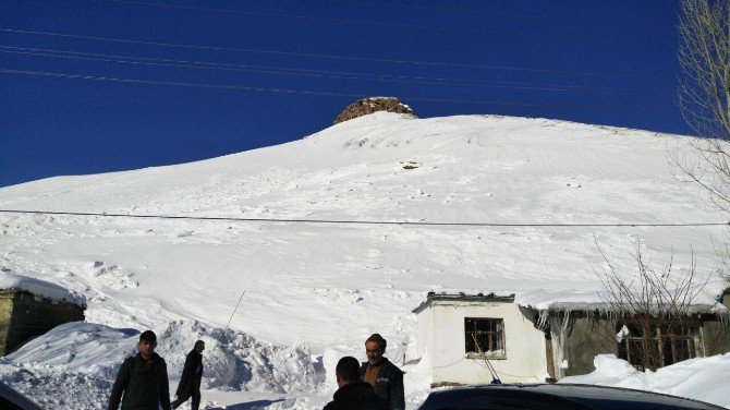 Ahırın Üzerine Çığ Düşmesi Sonucu 3 Hayvan Telef Oldu