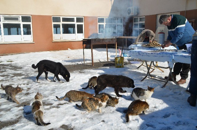 Alaçam’da Hamsi Partisi