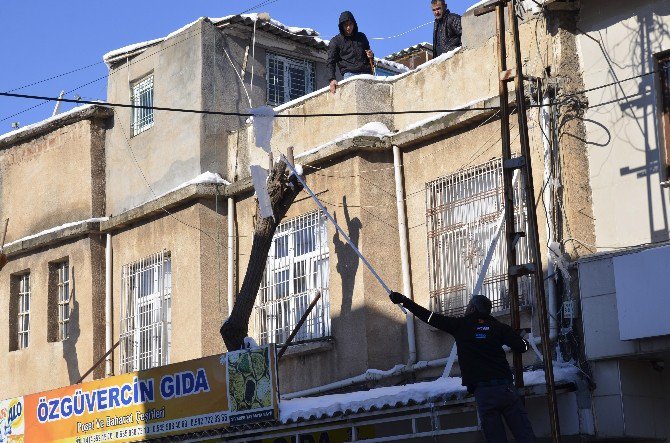 Şanlıurfa’da Sibirya Soğukları Etkili Oluyor