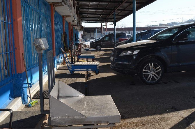 Trabzon Toptancı Balık Hali 20 Yılın En Verimsiz Gününü Yaşadı