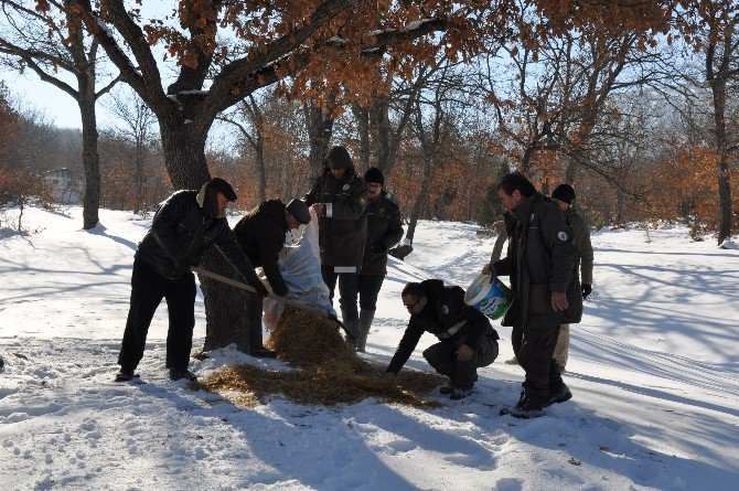 Yaban Hayvanları Unutulmuyor
