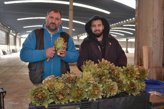 Karaciğer Dostu Enginar Tezgahta