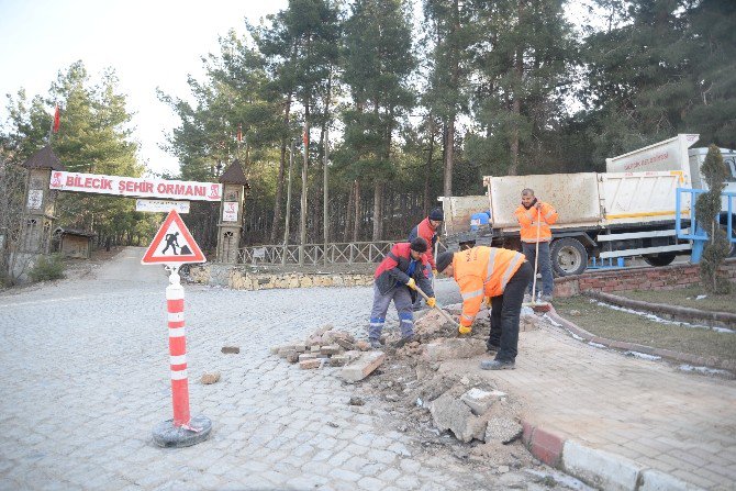 Park Ve Bahçeler Müdürlüğü Ekiplerinin Çalışmaları