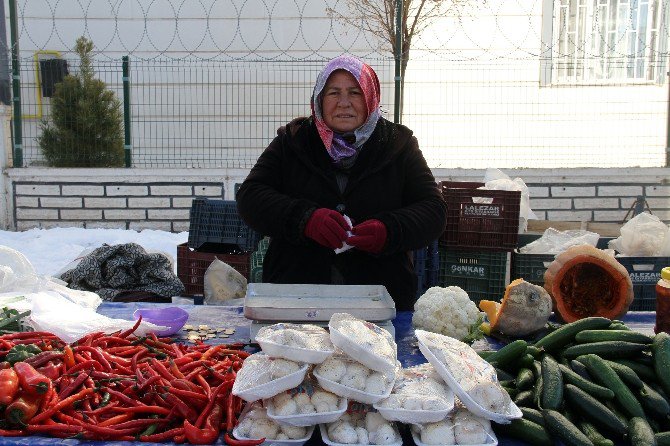 Gezici Semt Pazarı Kadınların Umut Işığı Oldu