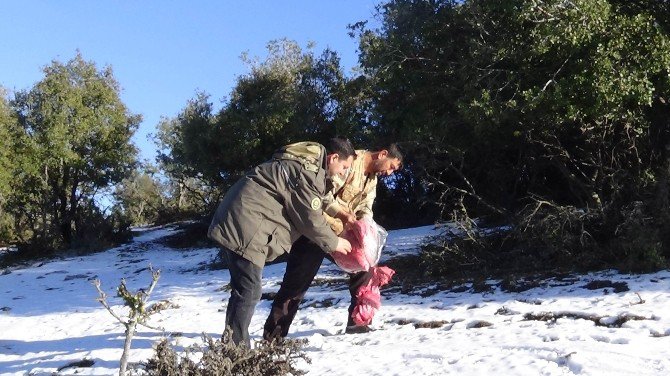 Yaban Hayvanları İçin Doğaya Yem Bıraktılar