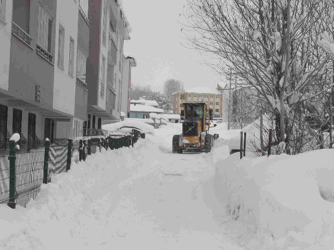 Varto’da Kar Temizleme Çalışması