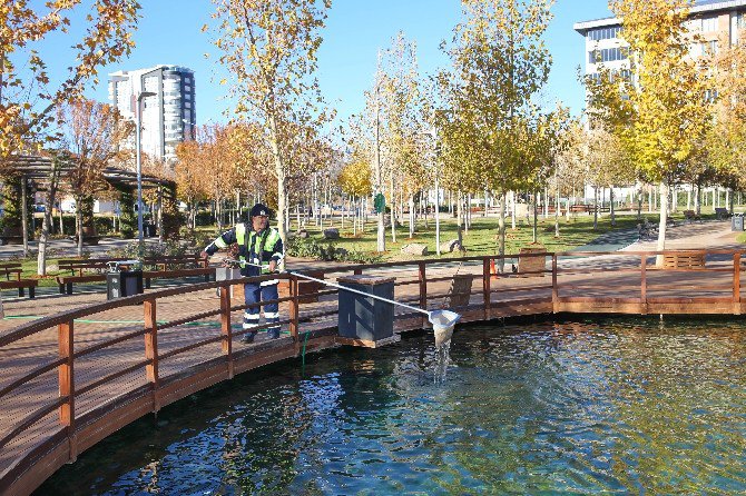 Şehitkamil’deki Parklarda Hummalı Çalışma