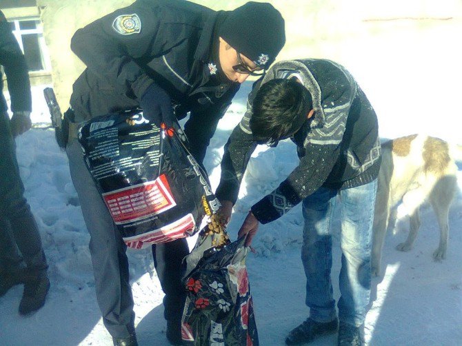 Polis Sokak Köpeklerini Doyurdu