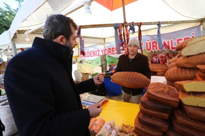 Gürsu’da Hamsi Festivali