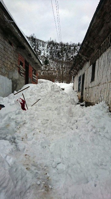 Trabzon’da Başına Kar Yığını Düşen Kadın Hayatını Kaybeti