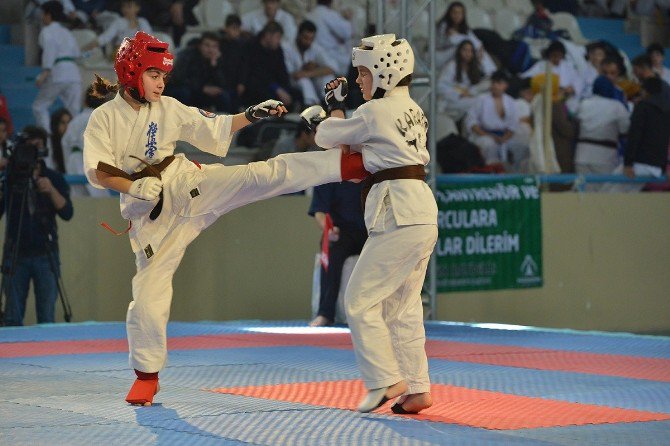 Kyokushin Karate Türkiye Şampiyonası Başladı