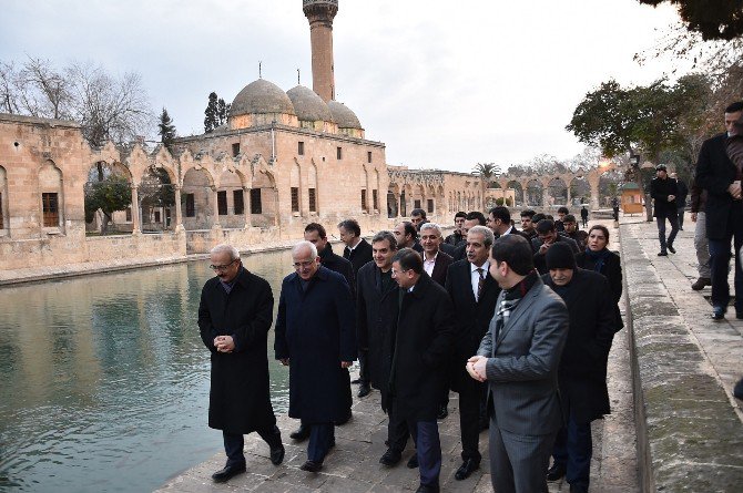 Bakan Elvan Balıklıgöl Ve Müzeleri Gezdi