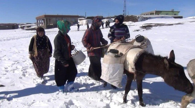 Siverekli Kadınların Eşekle Su Taşıma Çilesi