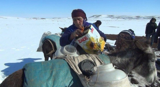 Siverekli Kadınların Eşekle Su Taşıma Çilesi