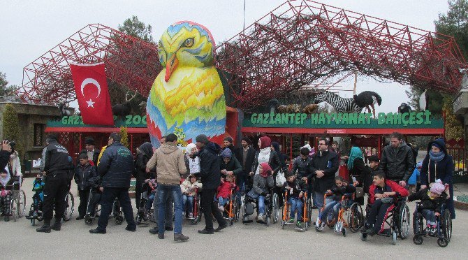 Savaş Mağduru Çocuklar İlk Kez Hayvanat Bahçesi Gördü