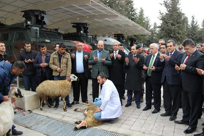 Şanlıurfa Emniyet Müdürlüğüne 64 Araç Törenle Teslim Edildi