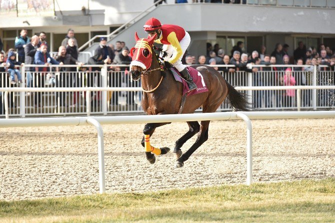 Urla Koşusunu "Babadöker" Kazandı