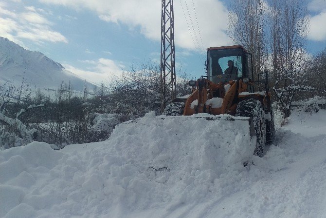 Gevaş Belediyesinden Karla Mücadele Çalışması